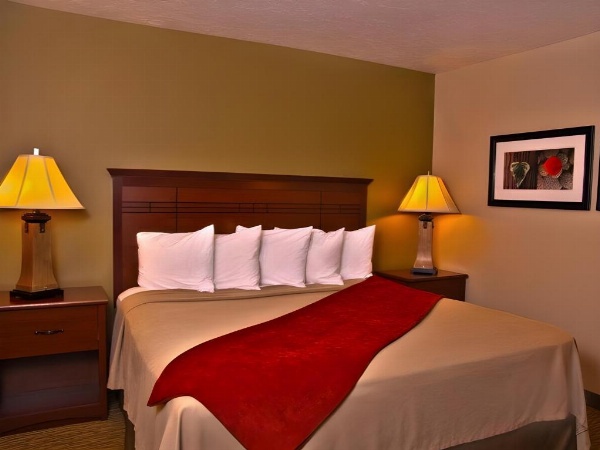 Best Western Town And Country Inn image 15