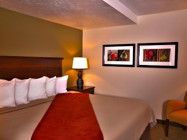Best Western Town And Country Inn image 16